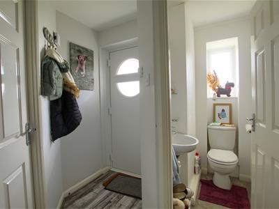 Picture 3